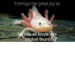 Axolotl Thursday group