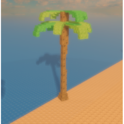 The Beach