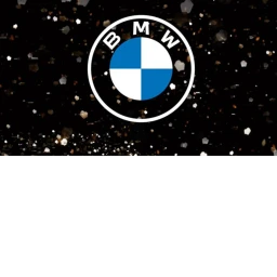 Bmws icon
