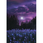 Moon Supremacy