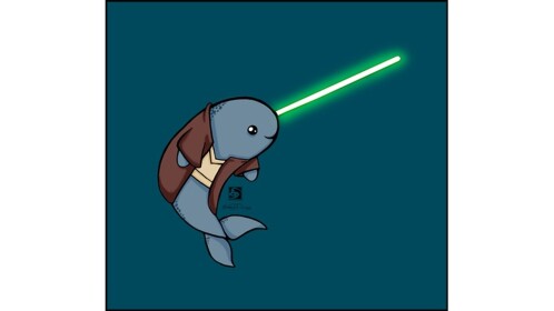 Narwhal Adventures