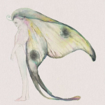 butterfliez