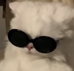 ¢нαя'ѕ συтℓєт