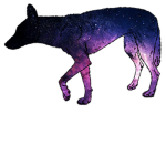 Dingo ®