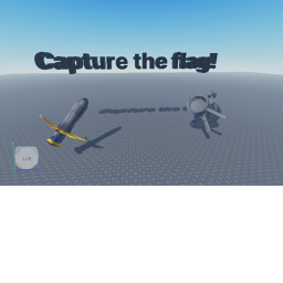 Capture the flag