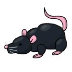 Hungry Pixels Group Thumbnail
