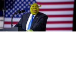 Shrek federation