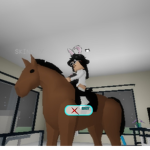 ~SN@KE$~