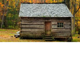 timber ridge