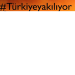###### yt fan group