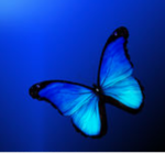Vibing ButterFlys
