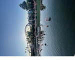 Janice_tt