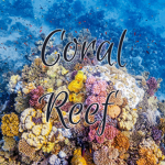 Coral Re3f