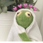 Kermit studio <3