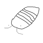 Trilobite Gang