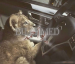 Bu' Ahmed