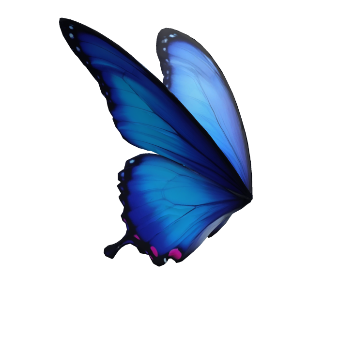 Ginka Butterfly Hair Accessory