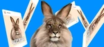 C.С.C.P. Life Group Thumbnail