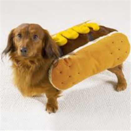 Hot Dog Dog Roblox decal