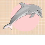 #Dolphin.Dreams