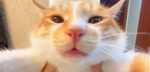 ほってぃーーー