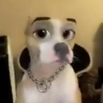 gamer ltu