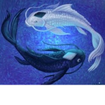 The Yin Yang Coult