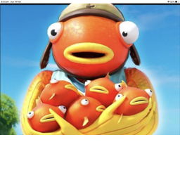 Fish speed run