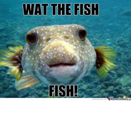 the FISH PVP FFA UPDATE the backrooms