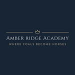 ~•Amber Ridge Academy •~