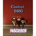 Central BRG