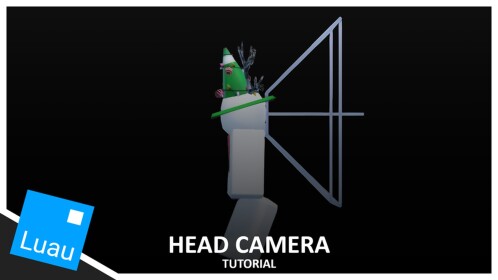 Head Camera