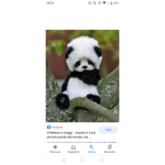 I panda italiani