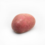 POTØTOGANG