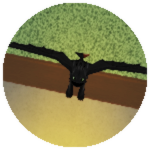 Toothless's friend 
