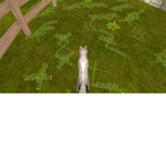 Gaming cat studios 106