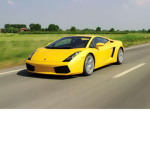 F1 RACING FOR LIFE BOIIS