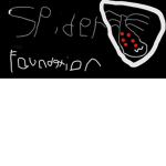 spider foundation