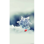 Winter's fan club