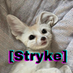 Stryke Club
