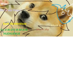 THE DOGE-SQUAD