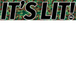 Official LIT Squad