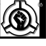 M . T . F group