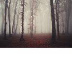 The Forest: Bloxburg Roleplay