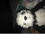 Pandasareamzing