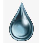 The rain puddle