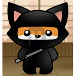 ninja fox group