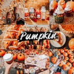 P u m p k i n S q u a d