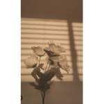 Any aesthetics <3