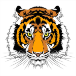 OMG ITS TIGGER Fan Group